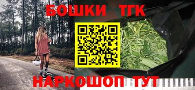 гидра Новодвинск